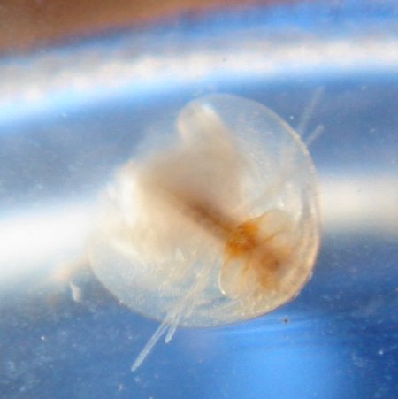 hier fehlt ein bild!